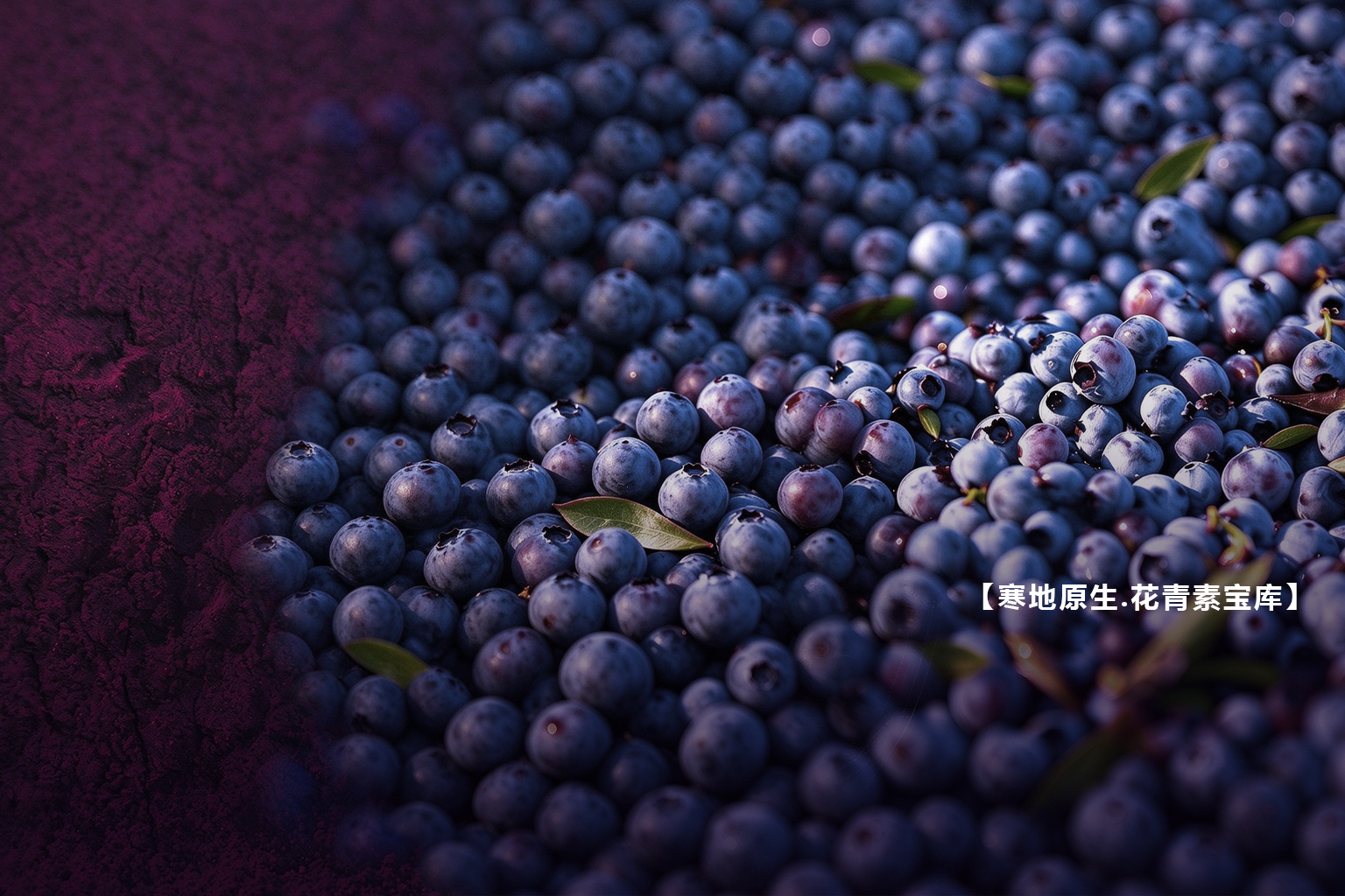 Fniberry®蓝莓花色苷