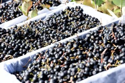 b3dd6b25bf84ca873afff4d4d3aead5d